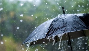 Meteorological Department issued heavy rain 