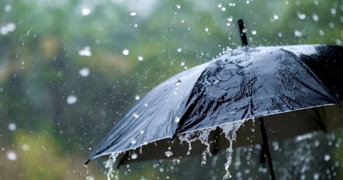 Meteorological Department issued heavy rain 