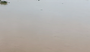 Gaya Ji: Phalgu nadi mein mila yuvati ka shav: Gaya ke rubber dam se baramad, police pehchaan mein juti...
