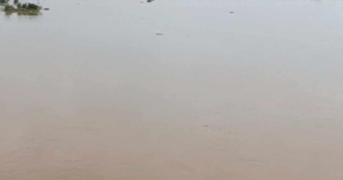 Gaya Ji: Phalgu nadi mein mila yuvati ka shav: Gaya ke rubbe