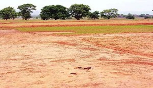 Now, a report card of the health of the land will be maintained in Bihar.