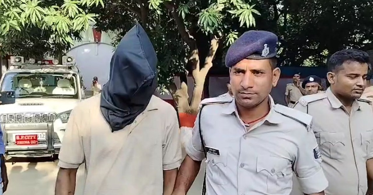 One pomegranate and two sick, one reached hospital and the o